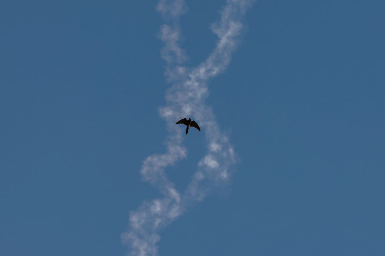 ۱۴ کشته و ۹۳ زخمی در ۶۳۸ حمله به اقلیم کردستان