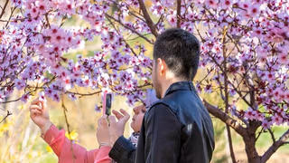 No deal for us: how Iran–US talks affect ordinary Iranians