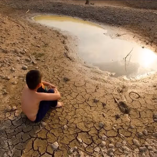 Tehran began water rationing too late, officials admit as crisis deepens