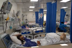 'The end of illness is not treatment. It is death': Iranian MP on the cost of care