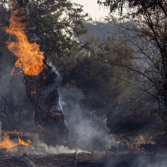 جمهوری اسلامی برای مهار آتش در جنگلهای شمال ایران از ترکیه کمک خواست