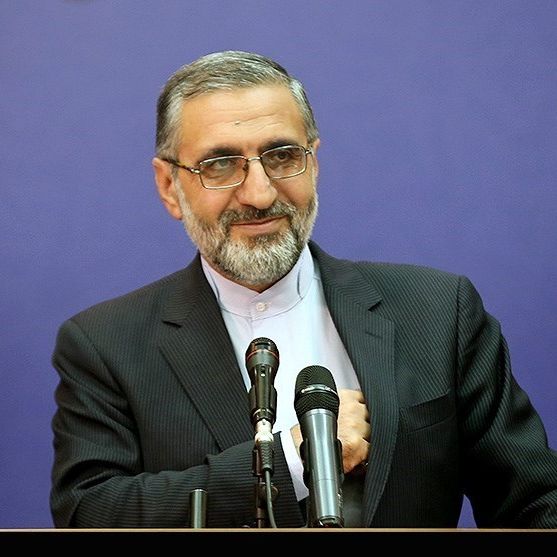 سخنگوی قوه قضاییه: نسبت به متخلفین پرونده ویلموتس رسیدگی قضایی انجام میشود