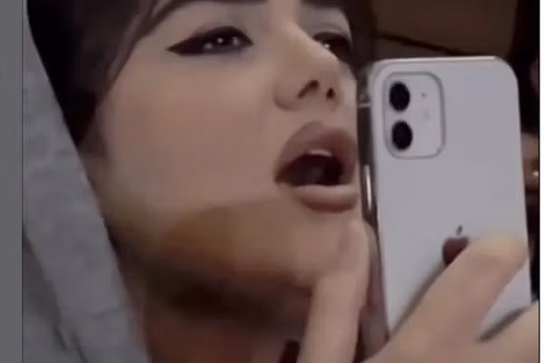 پلیس فتا صفحه اینستاگرام نیوشا مفیدی را پس از خواندن در کنسرت حامی مسدود کرد