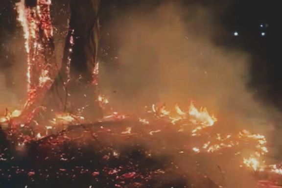 آتشسوزی ارتفاعات کردلان در محدوده کوه نمک شهرستان دشتی که از عصر دوشنبه آغاز شده همچنان ادامه دارد