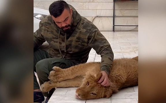 امیر علیاکبری: توله شیر را به محیط زیست تحویل دادم