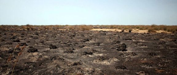 محیط زیست مازندران: ۵۵ هکتار از پوشش گیاهی میانکاله در آتش سوخت