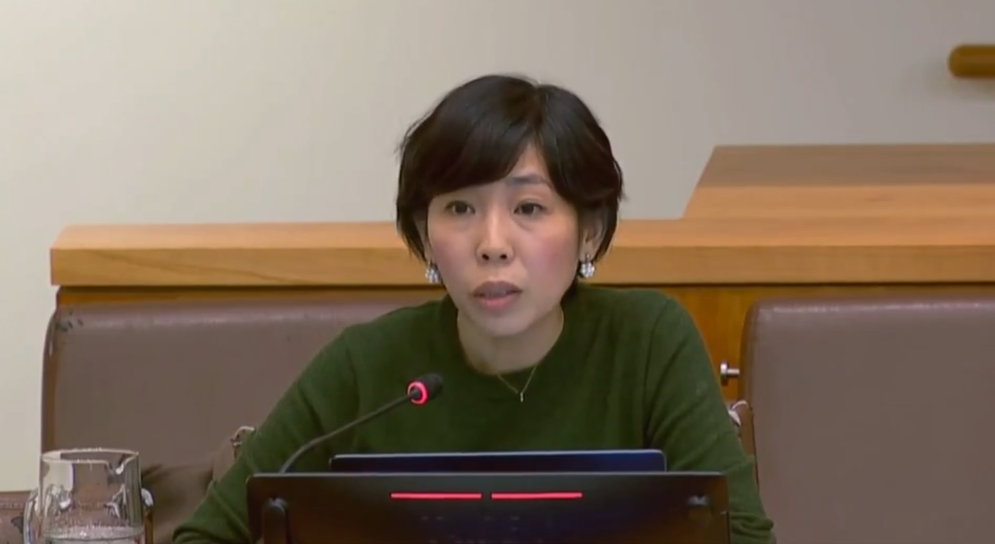 المقررة الأممية لحقوق الإنسان: إيران تتجه نحو "جرائم ضد الإنسانية" 