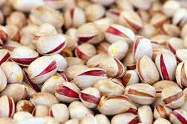 Iran's Pistachio Exports Decline Sharply