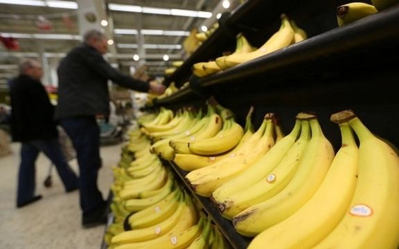 اتحادیه بارفروشان درباره گرانتر شدن موز: مصرف موز در دنیا بیشتر شده