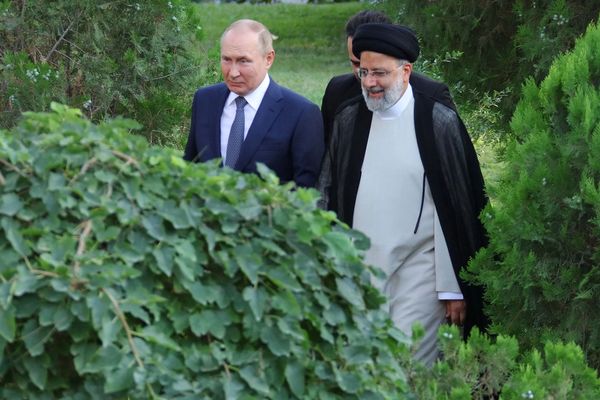 سفیر پیشین جمهوری اسلامی در روسیه: رئیسی شخصا با پوتین درباره فلفل دلمهای صحبت کرده بود