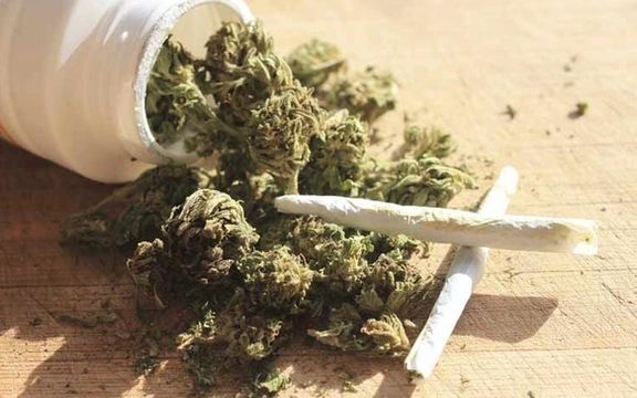 فرمانده انتظامی تهران: توهمزایی «گل» در ایران ۱۰ برابر اروپاست