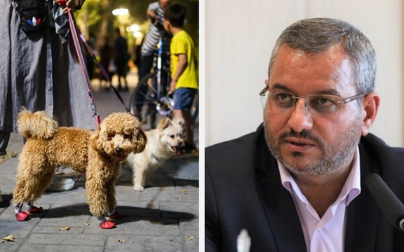 معاون زاکانی: سگگردانی یکی از معضلات شهر تهران است