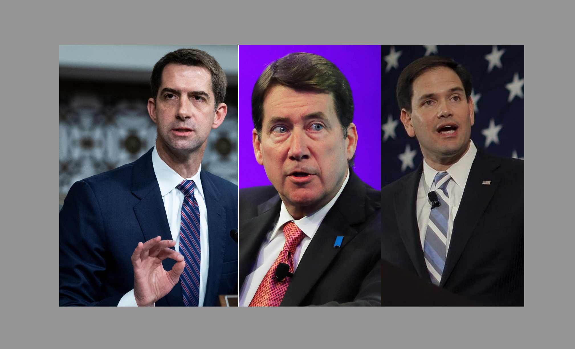 سمافور: ترامپ سه سناتور جمهوری‌خواه را برای پست‌های امنیت ملی در نظر دارد