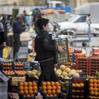 Broken machine: why Tehran’s food distribution plan won’t move the needle