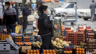Broken machine: why Tehran’s food distribution plan won’t move the needle