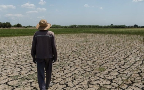 رییس سازمان مدیریت بحران: بارندگی در ایران ۵۴ درصد کاهش یافته است