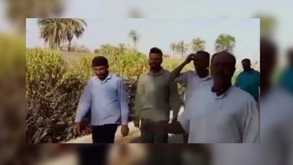 کشاورزان شهر ویس در شمال اهواز به قطع آب مزارع خود و ممنوعیت کشت تابستانه اعتراض کردند