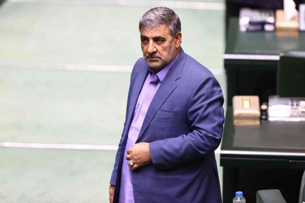 عضو کمیسیون اجتماعی مجلس: قطع یارانه میتواند منجر به تشنج اجتماعی و اعتراض شود