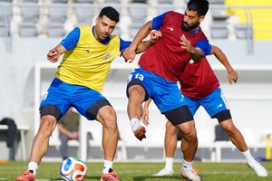 سفیر آمریکا در ترکیه صدور ویزا برای بازیکنان تیم ملی را تایید کرد