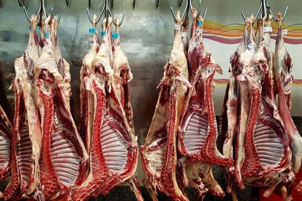 رییس کل دادگستری اصفهان: اعضای توزیع گوشت آلوده با اتهام افساد فیالارض بازداشت شدند