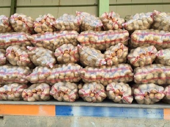 در ده ماه نخست امسال، سیبزمینی ایرانی کیلویی حدود ۱۳ هزار تومان از میرجاوه به پاکستان صادر شده، حالا از پاکستان و از همان مرز برای تنظیم بازار، کیلویی ۳۰ هزار تومان وارد میشود.