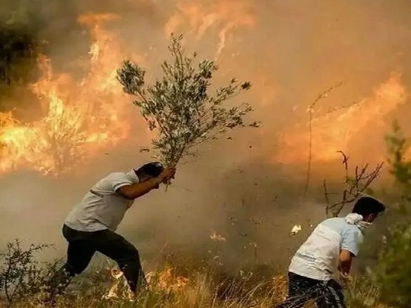 Wildfires in Iran’s Zagros region