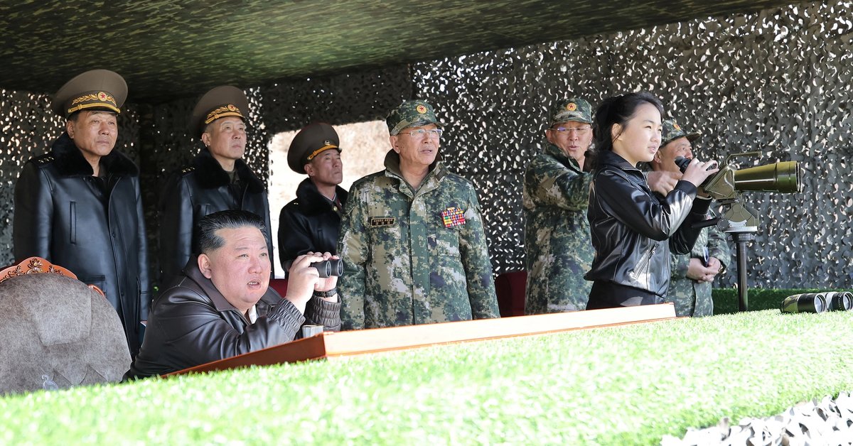 North Koreans fear possible deployment as Iran war intensifies - report