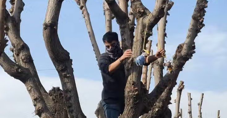 Iran's top university expels student over toy rat that mocked Khamenei