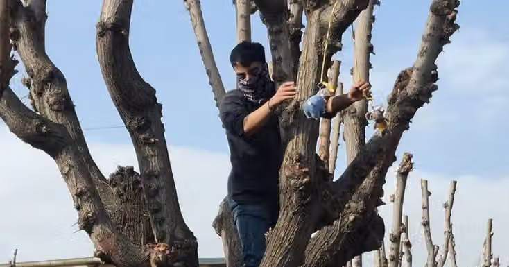 Iran student expelled from university after ‘Rat Ali’ protest mocking Khamenei