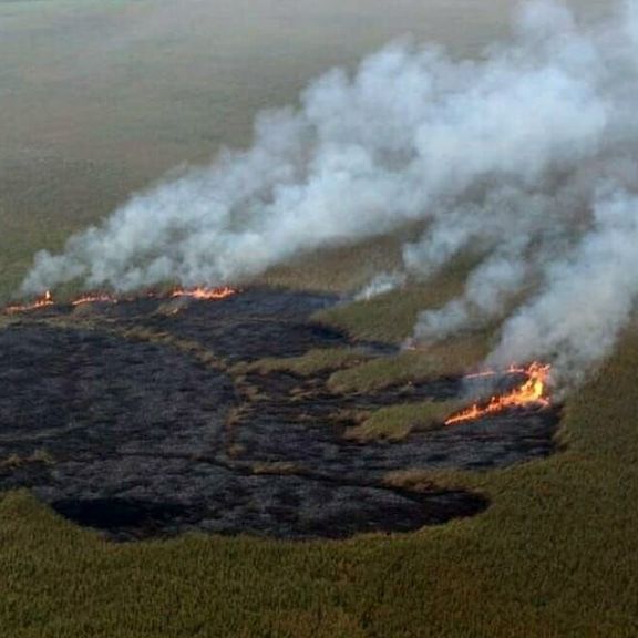 در پی بارندگیهای بامداد جمعه، آتش در تالاب انزلی پس از سه روز خاموش شد