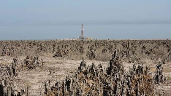 معاون اداره کل محیط زیست خوزستان: خشک شدن تالاب هورالعظیم بعید نیست