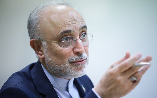 علی اکبر صالحی، وزیر خارجه پیشین: ببینید چه هزینهای داریم برای فلسطین میدهیم