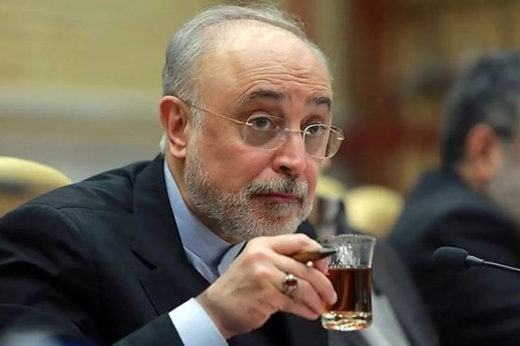 علیاکبر صالحی، وزیر خارجه پیشین: تاکنون حکمرانی مشابه جمهوری اسلامی در دنیا نداشتهایم