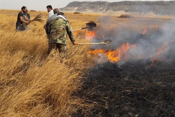 رییس سازمان مدیریت بحران: میتوانیم به کشورهای دیگر در مدیریت بحران کمک کنیم