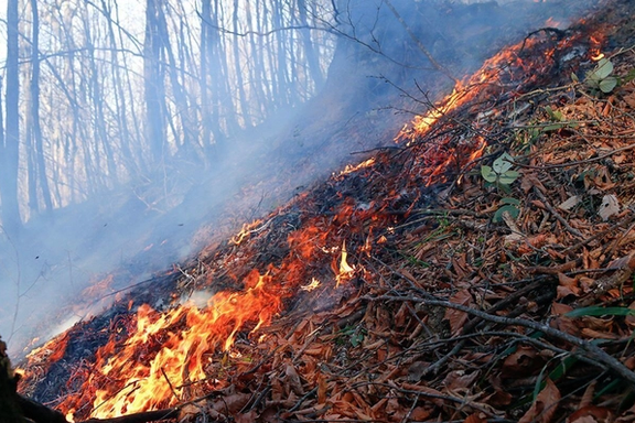 فرمانده منابع طبیعی: حجم آتشسوزی در منابع طبیعی ۲۷۳ درصد افزایش داشته