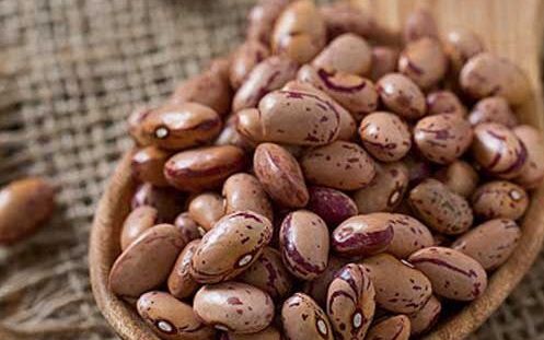 انحصار و مافیا در بازار مواد غذایی: قیمت هر عدد لوبیا به ۱۷۵ تومان رسید