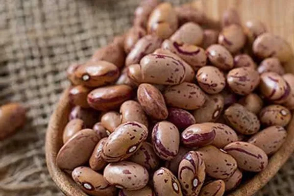 انحصار و مافیا در بازار مواد غذایی: قیمت هر عدد لوبیا به ۱۷۵ تومان رسید