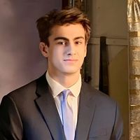 Iranian-American poet’s son arrested over Detroit terror plot