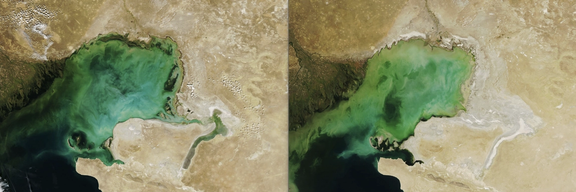 Comparative images from 2006 and 2022 show dramatically dropping water levels at the lake’s shallow northern side, revealing newly exposed dry land. (Source: NASA Earth Observatory)