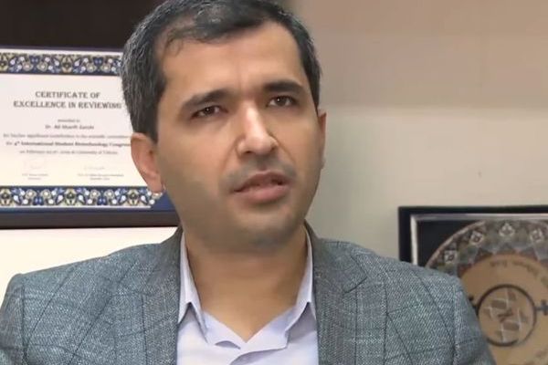 انتخاب أستاذ جامعي فصلته إيران رئيسًا للجنة العلمية الدولية لأولمبياد الكمبيوتر العالمي