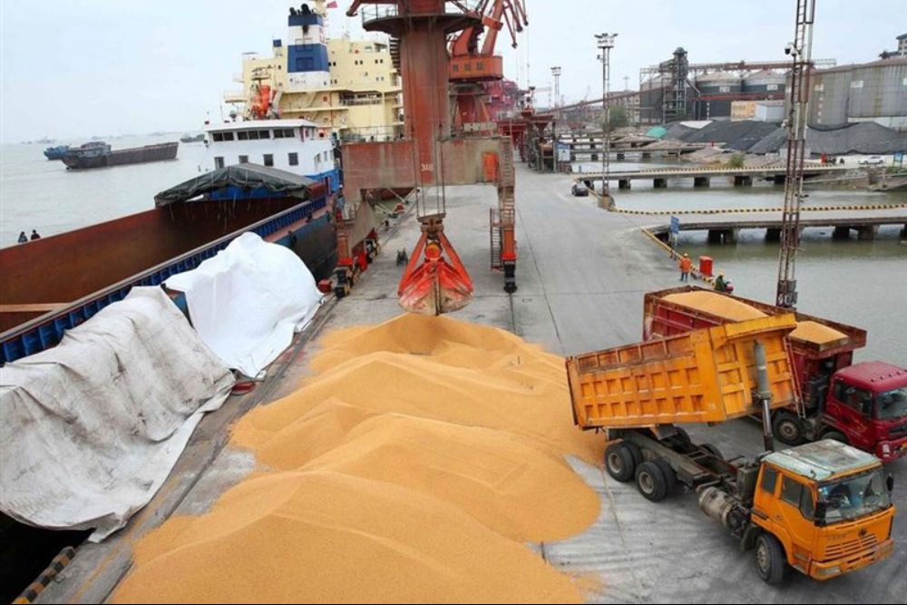 Iran to let basic goods importers sell oil under expanded barter scheme