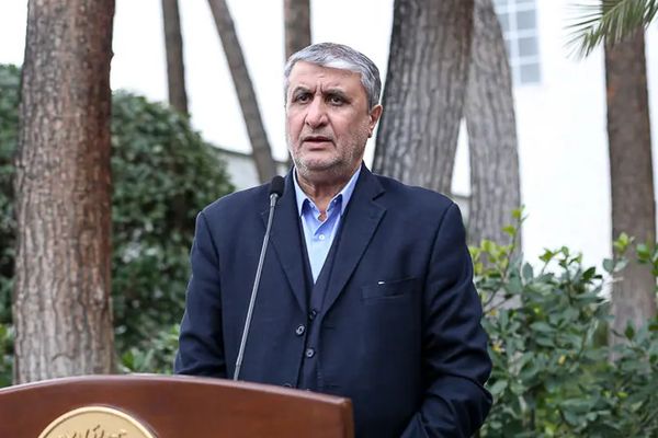 رئيس منظمة الطاقة الذرية الإيرانية: 5 آلاف شخص يعملون على توسيع محطة بوشهر النووية