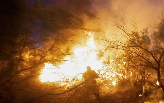 بخشهای وسیعی از پارک ملی کرخه، زیستگاه اصلی گوزن ایرانی، روز دوشنبه در آتش سوخت