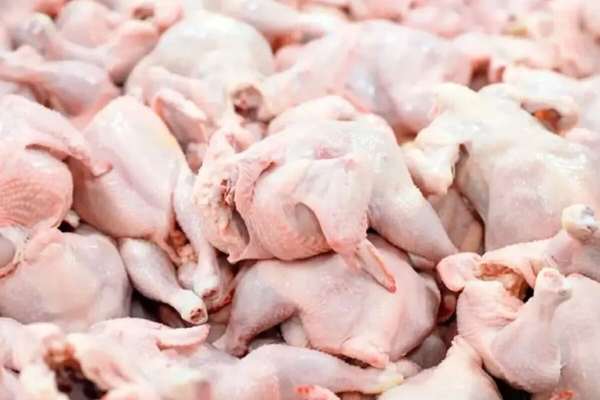 دبیر سابق انجمن تولیدکنندگان زنجیرهای گوشت مرغ: نگاه دولت به مرغ و تخممرغ امنیتی است