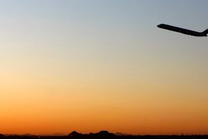 Iran says 40 Iranians in ICE custody to be flown home