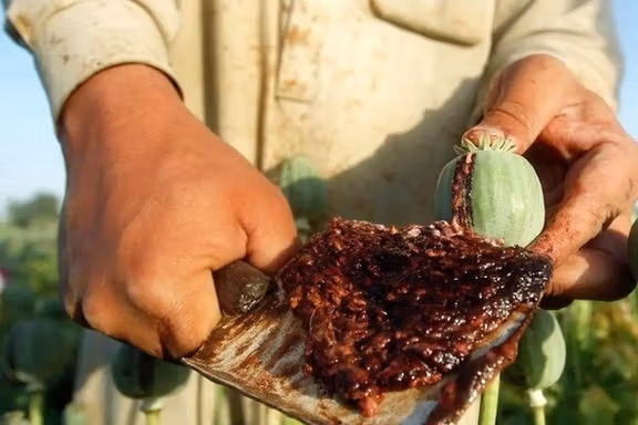 Soaring opium prices in Iran drive users to synthetic drugs