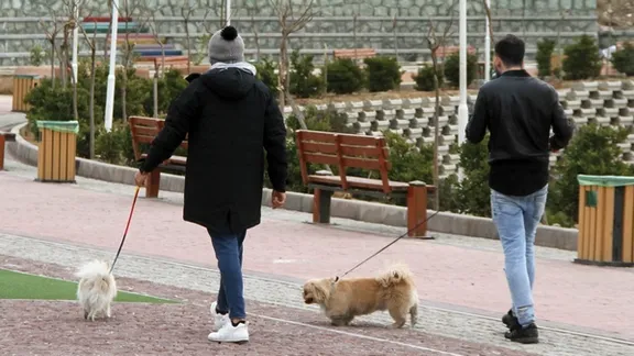 People walking their dogs in a park in Tehran