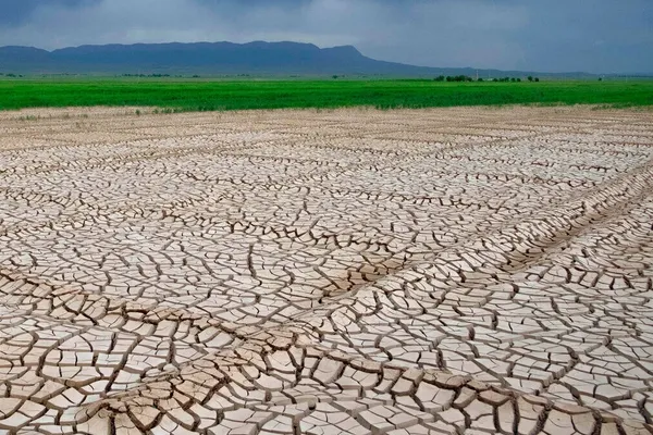 معاون سازمان حفاظت محیطزیست: شمال ایران هم از نظر آب در شرایط مناسبی نیست