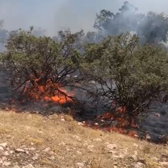 منابع محلی:آتشسوزی گسترده در مراتع و جنگلهای کوه شبلیز در بخش پاتاوه شهر دنا ادامه دارد
