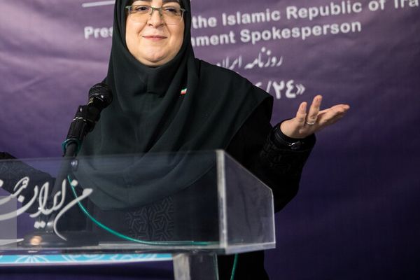 هاشمیطبا، معاون سابق رییسجمهور: دولت پزشکیان خود را به بازی مشغول کرده است